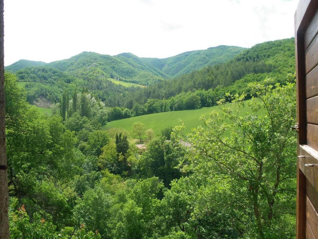 Agriturismo Orsaiola Урбания Стая снимка