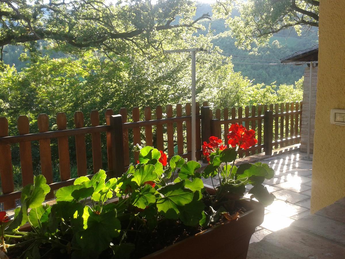 Agriturismo Orsaiola Урбания Екстериор снимка