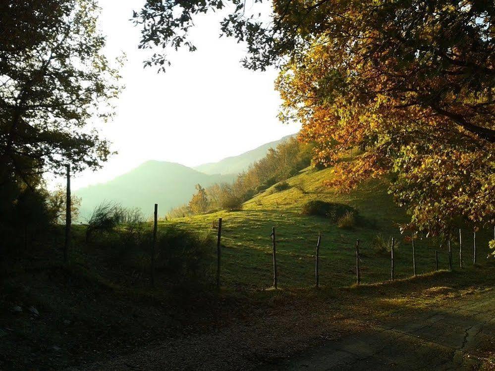 Agriturismo Orsaiola Урбания Екстериор снимка